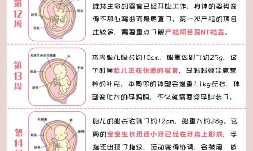 广东新鲜鲍鱼山药煲鸡汤功效网 | 鲍鱼炖鸡可以加山药吗,鲍鱼炖鸡可以加山药吗