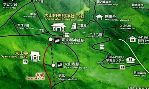 鲍鱼山药汤不适宜人群-广东新鲜鲍鱼山药煲鸡汤功效网 | 鲍鱼炖鸡可以加山药吗,鲍鱼炖鸡可以加山药吗