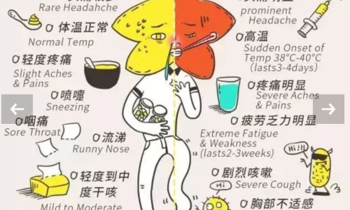 鲜鲍鱼汤加山药营养好吗-广东新鲜鲍鱼山药煲鸡汤功效网 | 鲍鱼炖鸡可以加山药吗,鲍鱼炖鸡可以加山药吗