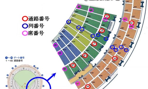 鲍鱼炖山药不适宜人群-广东新鲜鲍鱼山药煲鸡汤功效网 | 鲍鱼炖鸡可以加山药吗,鲍鱼炖鸡可以加山药吗