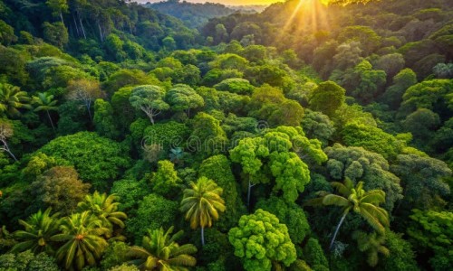 鲍鱼山药汤不适宜人群-广东新鲜鲍鱼山药煲鸡汤功效网 | 鲍鱼炖鸡可以加山药吗,鲍鱼炖鸡可以加山药吗
